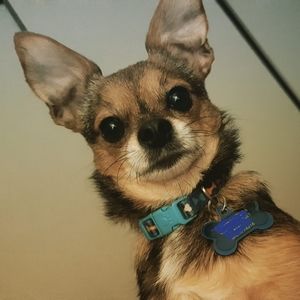 Meet your Posher, Kathi